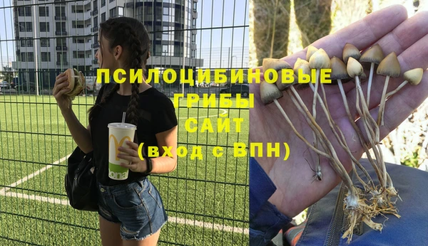 spice Гусь-Хрустальный
