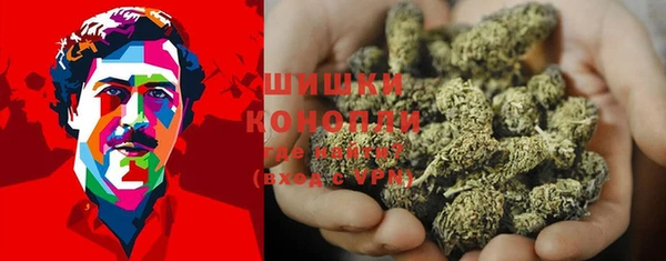 spice Гусь-Хрустальный