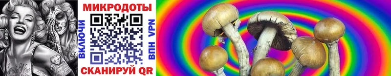 мега маркетплейс  Октябрьский  Галлюциногенные грибы Cubensis  где продают  